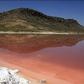 پدیده کشند قرمز در دریاچه مهارلو
